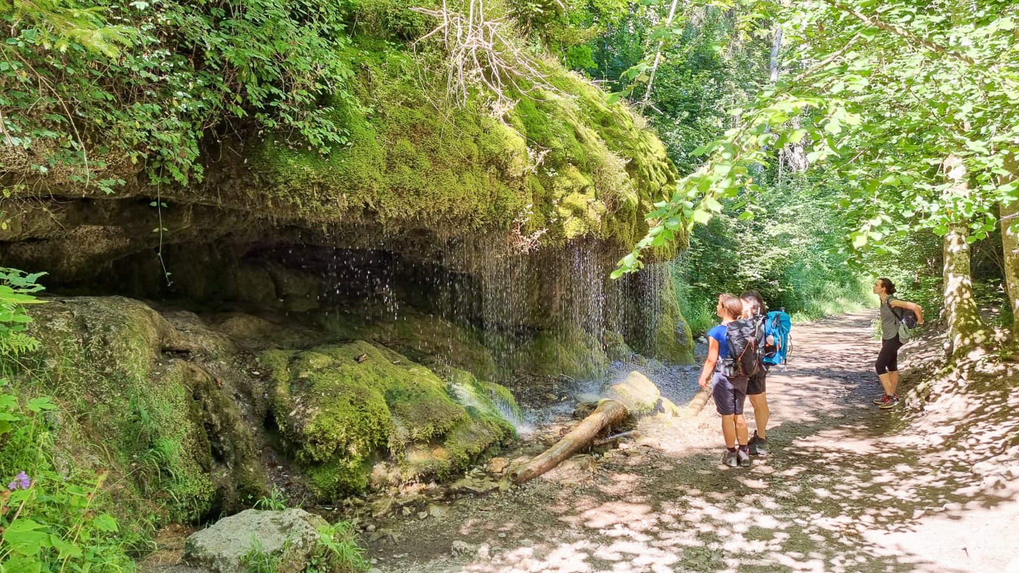 Mit Tagesrucksack auf einem grünen Schwarzwaldpfad